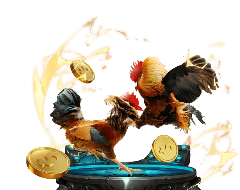 Hỗ trợ khách hàng PG66